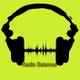 radio seismos logo