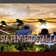 Iglesia Pentecostal La Roca Logo