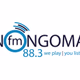 Nongoma FM Logo
