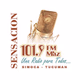 FM Sensacion 101.9 Logo