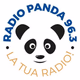 Radio Panda 96.3 Logo