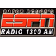 WIBR - WIBR logo