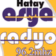 Asya Radyo Logo
