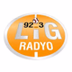 Lig Radyo Logo