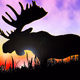 Kool Canada Logo