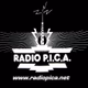 Radio Pica Logo