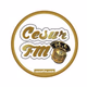Cesur Fm Logo