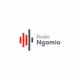 Radio Ngamia Logo