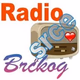Radio Srcebrckog Logo