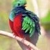 lindoquetzal Logo