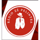 Rádio Zé Pelintra Logo