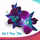 24/7 Niche Radio - 24-7 The '70s Logo