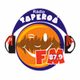 Taperoá FM 87.9 Logo