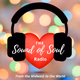 WTSS -- The Sound of Soul Logo