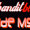 Bandit Blues Radio Logo