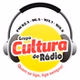 Rádio Cultura FM 105.5 logo