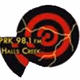 NIRS - Arts & Music Logo