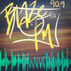 WVVS-FM Logo