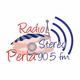 Radio Stereo Perla Logo