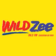 94.3 Wild Zee - DXWZ Logo