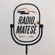 Radio Matese Logo