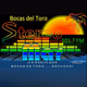 Stereo Mar Logo