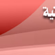 Sudan National Radio Corporation - SNBC Logo