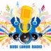 Radio Budi Luhur Logo
