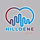 DFM Radio - Hilldene Radio Logo