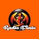 Radio Fenix logo