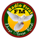 Radio Firat FM Logo