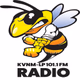 KVNM 101.1 FM - KVNM-LP Logo