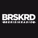 Berisik Radio Logo
