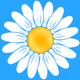 Радио ИисусоСлавие Logo