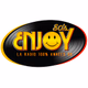 Enjoy 80's Logo