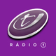 Rádio T Telêmaco Borba Logo