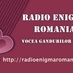 Radio Enigma Romania Logo