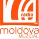 Radio Moldova Muzical Logo