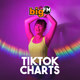 bigFM TikTok Charts Logo