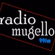 Radio Mugello Logo