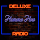 Deluxe Radio - Flamenco Flow Logo