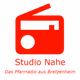Studio Nahe Logo