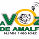 La Voz de Amalfi Logo
