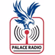 Palace Radio Logo