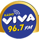 Viva FM Logo