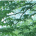 FM八ヶ岳 Logo