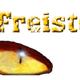 Studio Am Freistein Logo