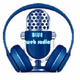 Blue Web Radio Logo