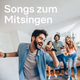 104.6 RTL - Songs zum Mitsingen Logo
