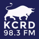 Bellowing Ox Radio - W220EQ Logo